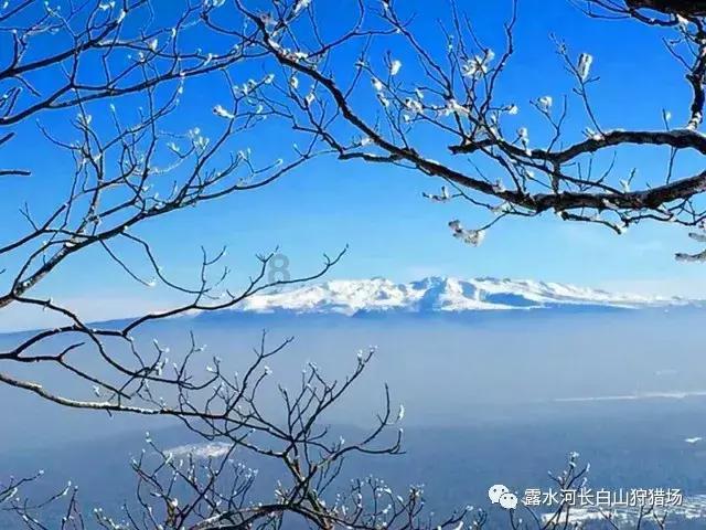 实况足球
